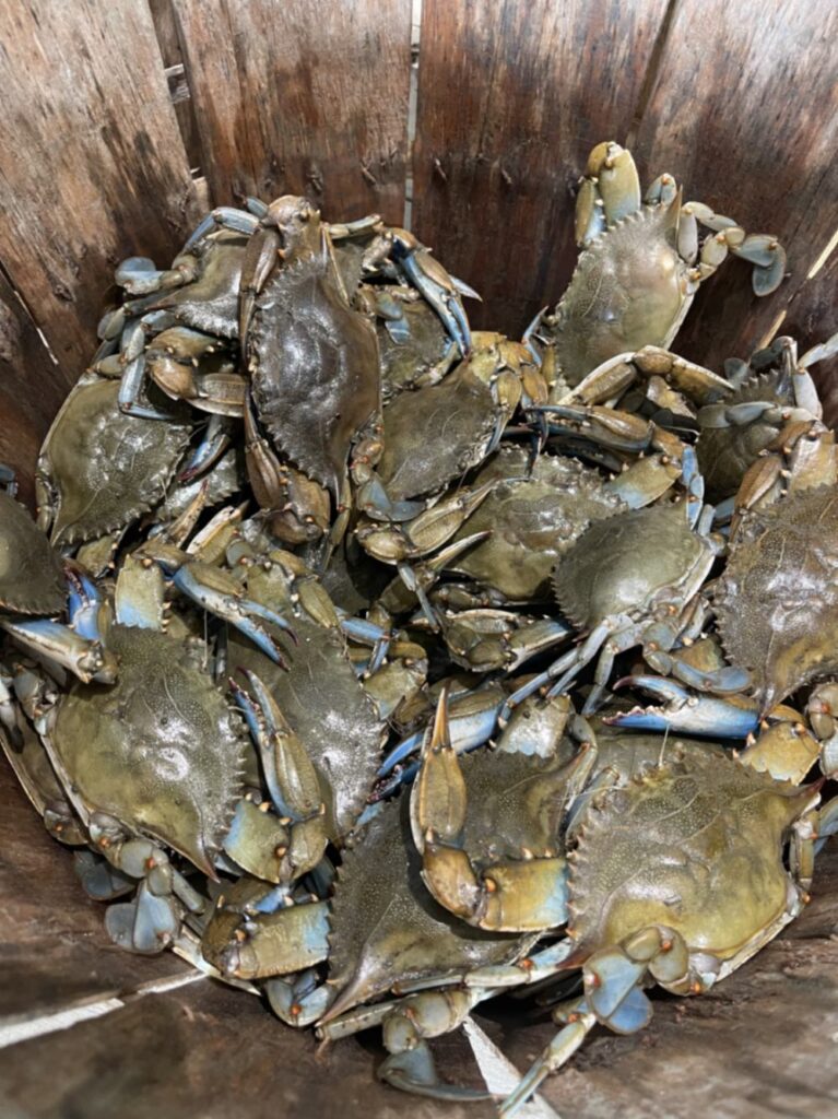 Crab Shack 5